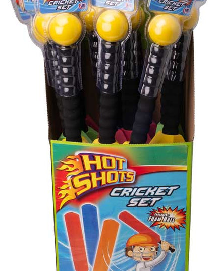 24INCH BASEBALL BAT WITH BALL