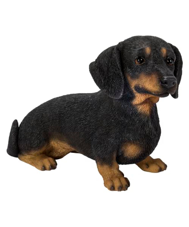 Vivid Arts Dachshund Sitting