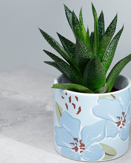 Small Ceramic Planter with Floral Design – Indoor Plant Pot