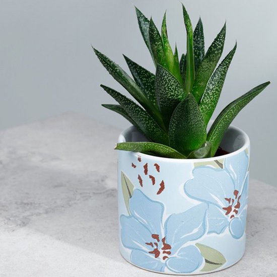 Small Ceramic Planter with Floral Design – Indoor Plant Pot