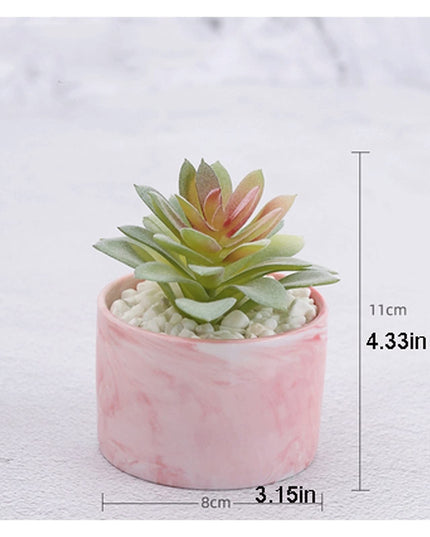 Artificial Succulent Plant in Decorative Ceramic Pot