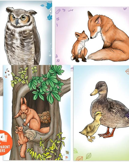 Depesche 12178 Wild Animals Tracing Book