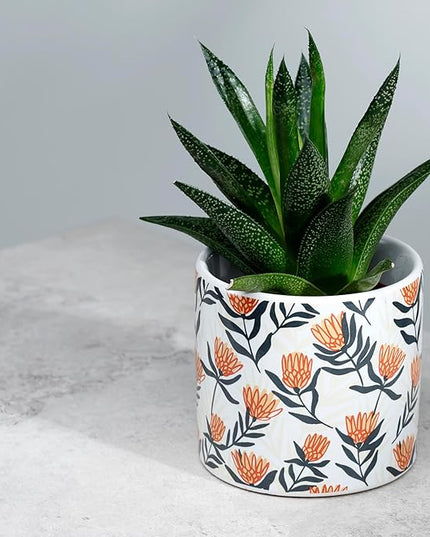 Ceramic Indoor Vase - Protea - Floral Dream - Small