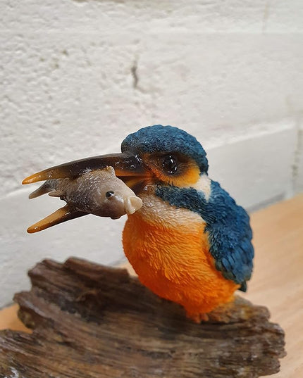 Vivid Arts Kingfisher on Driftwood Home or Garden Decoration