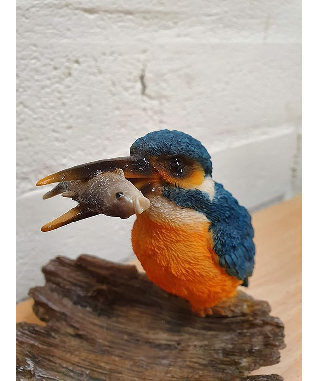 Vivid Arts Kingfisher on Driftwood Home or Garden Decoration