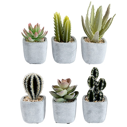 Artificial Potted Cactus 16cm