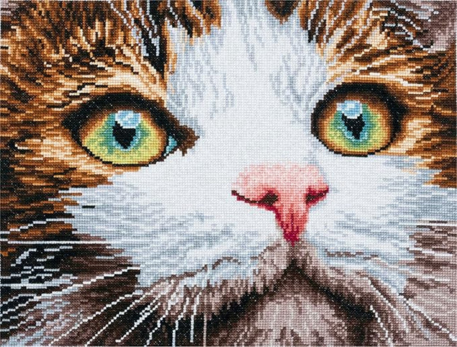 Trimits Large Cross Stitch Kits - Counted Embroidery Needlework for Adults Beginners Kids, Christmas Gifts Wall Art (Frame Not Included), 11 Count, Whiskers