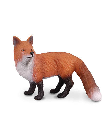 Red Fox