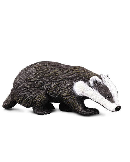Eurasian Badger