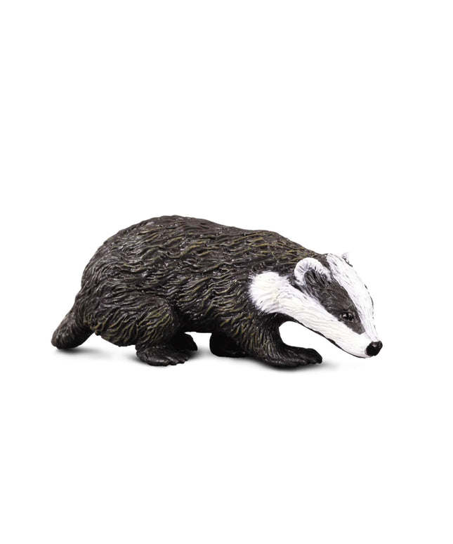 Eurasian Badger