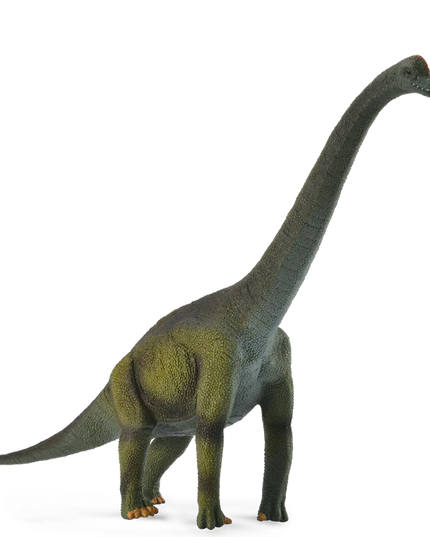 Brachiosaurus