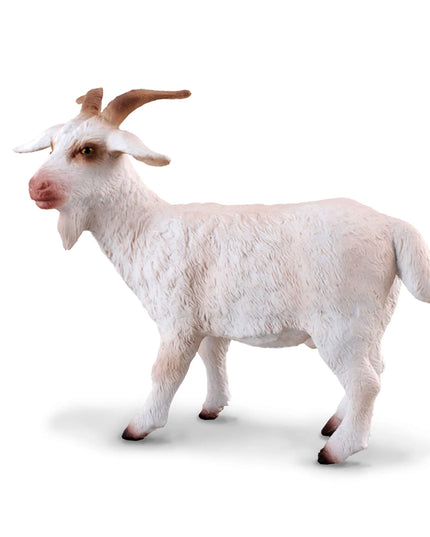 Billy Goat