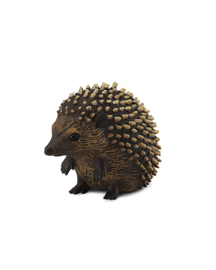 Hedgehog