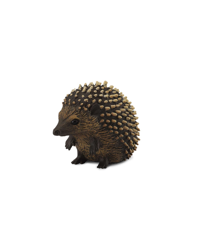 Hedgehog