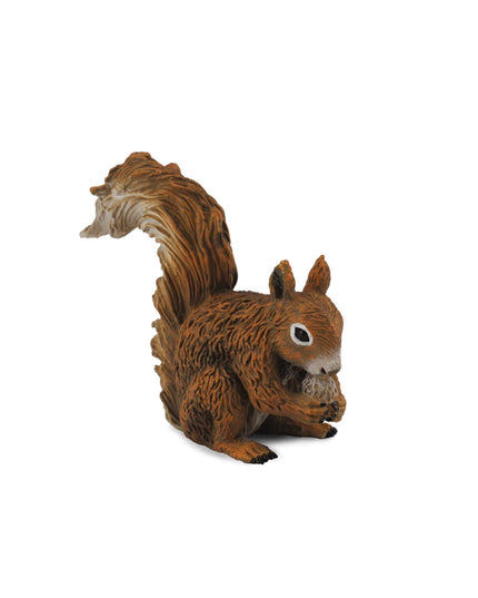 Red Squirrel-Eating