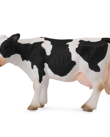 Friesian Cow