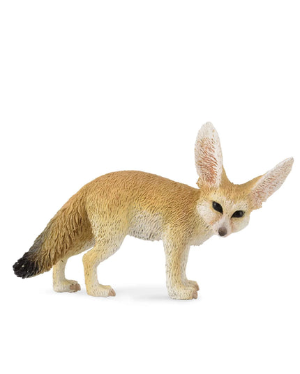 Fennec Fox