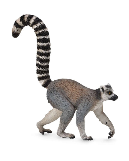 Ring-Tailed Lemur