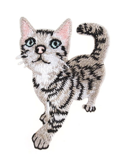 Motif C: Kitten