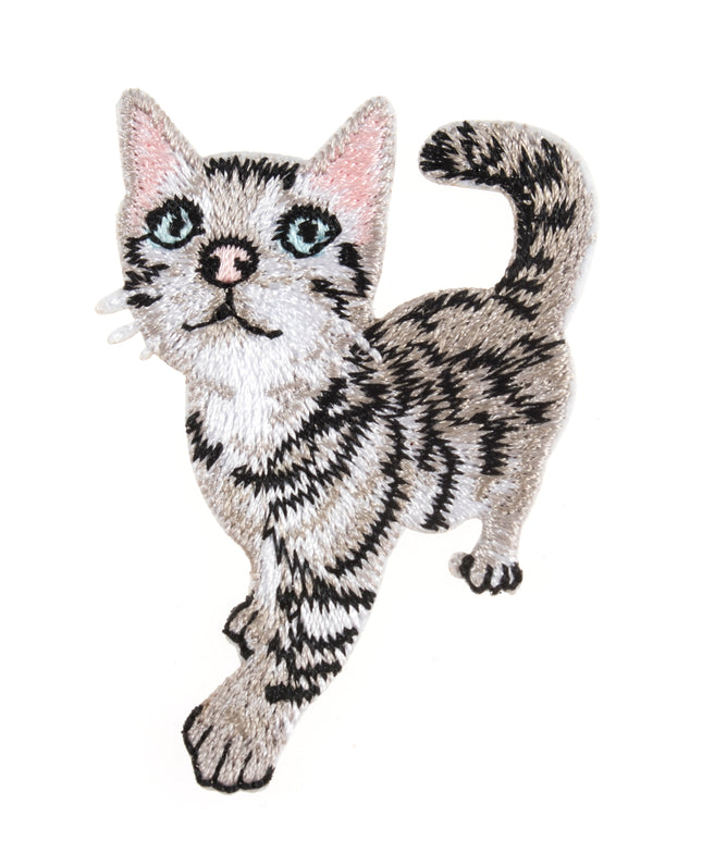 Motif C: Kitten