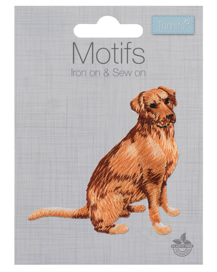 Motif C: Golden Retriever