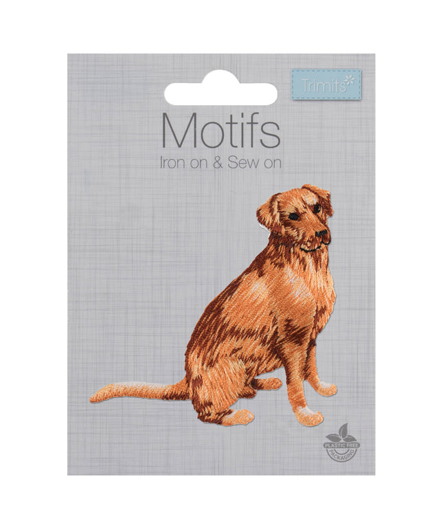 Motif C: Golden Retriever