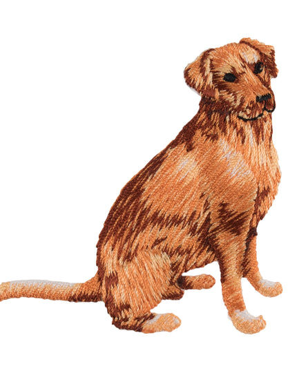 Motif C: Golden Retriever