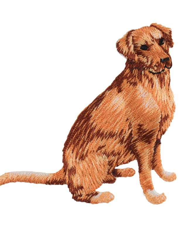 Motif C: Golden Retriever