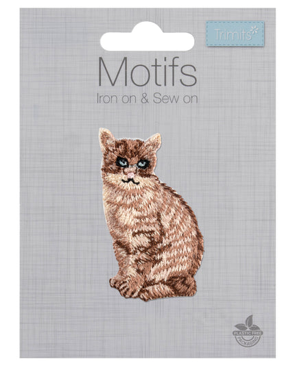 Motif C: Cat