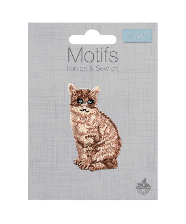 Motif C: Cat