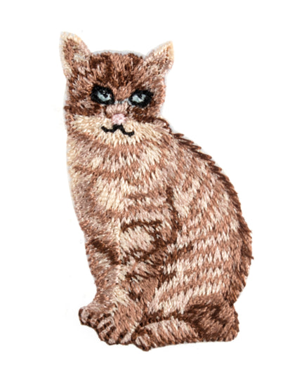 Motif C: Cat