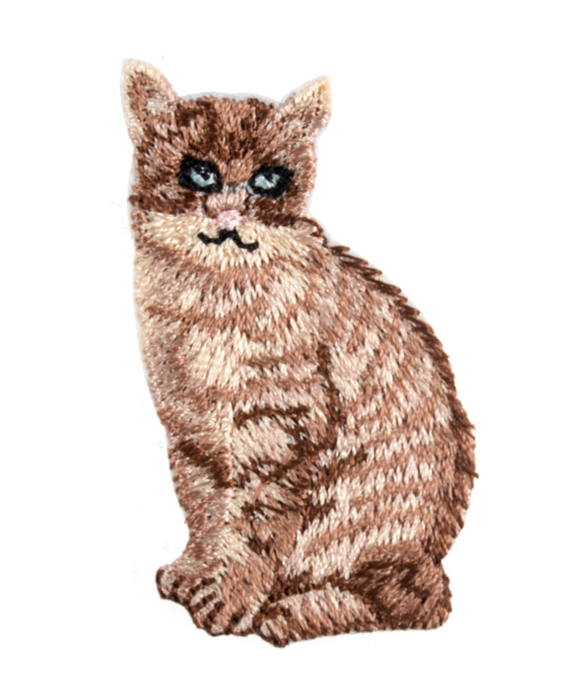 Motif C: Cat
