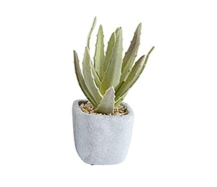 Artificial Potted Cactus 16cm