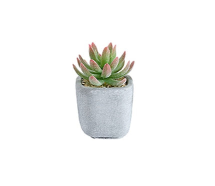 Artificial Potted Cactus 16cm