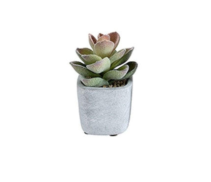 Artificial Potted Cactus 16cm