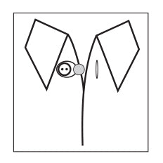 Collar Extender: White - 12mm - 3pcs