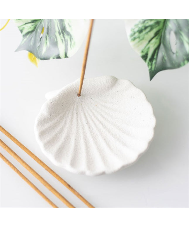 Off White Scallop Shell Incense Stick Holder