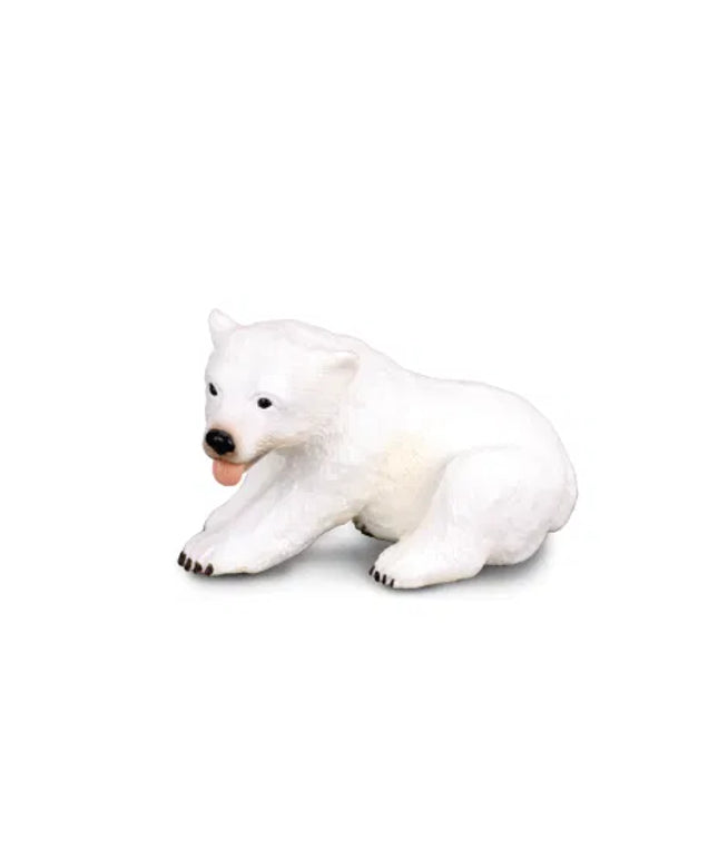 Polar Bear Cub Sitting