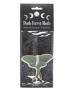 Dark Forest Moth