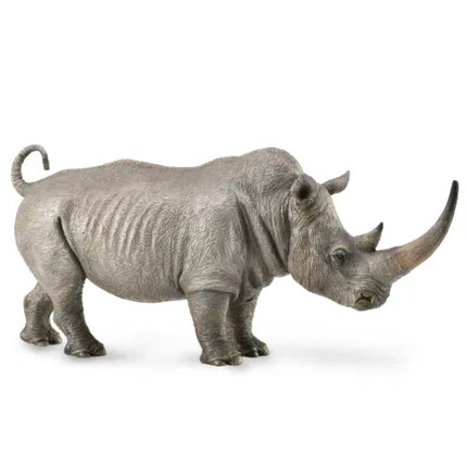 White Rhinoceros