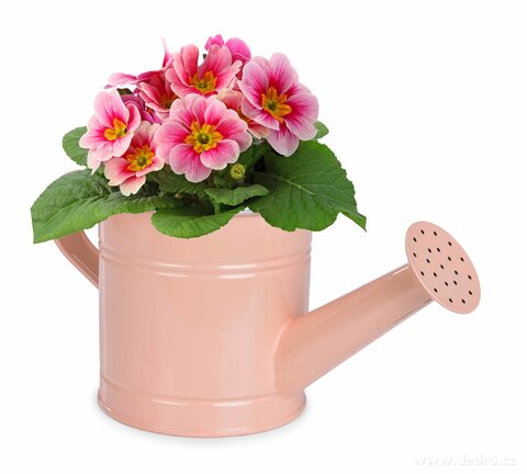 Metal Watering Can – Light Coral (Indoor & Outdoor Plants)