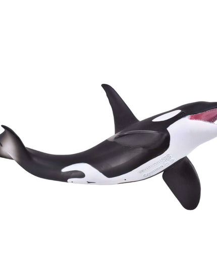 Orca