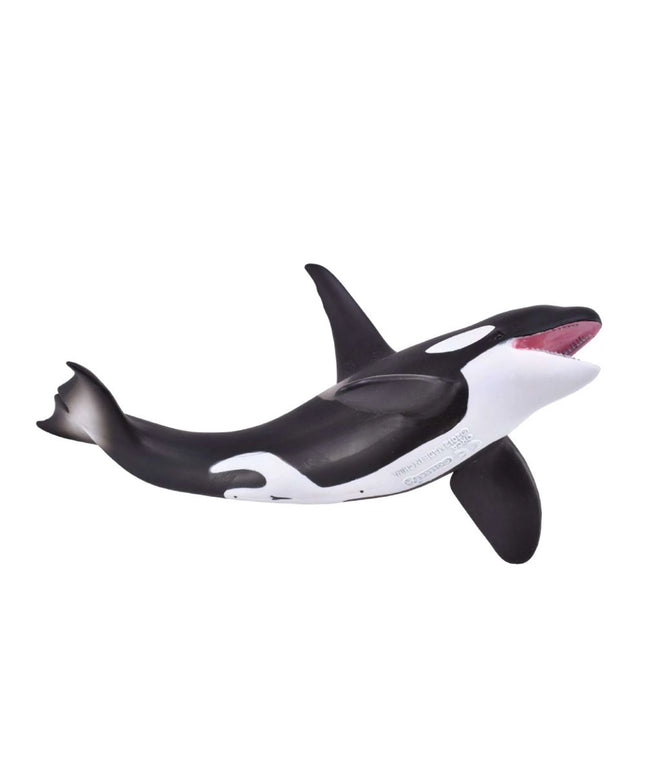 Orca