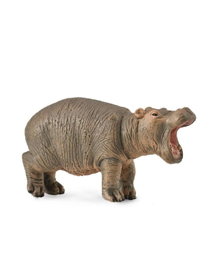 Hippopotamus Calf
