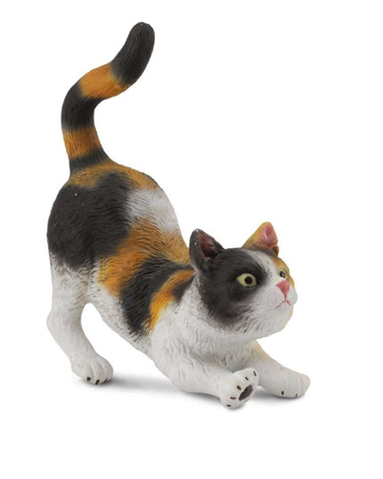 3 Colour House Cat Stretching