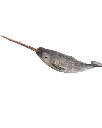 Narwhal