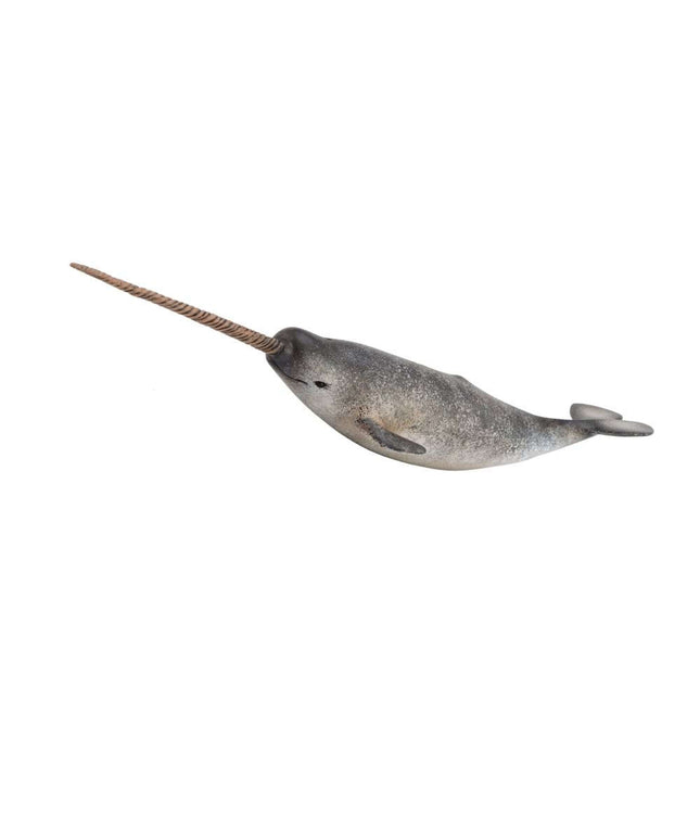 Narwhal