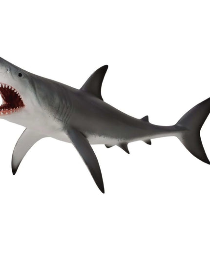 Great White Shark Open Jaw