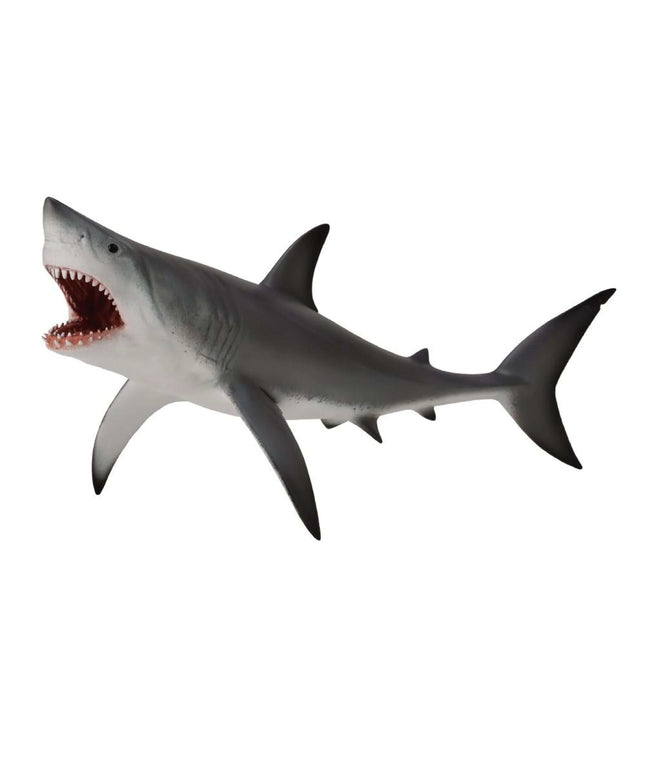 Great White Shark Open Jaw