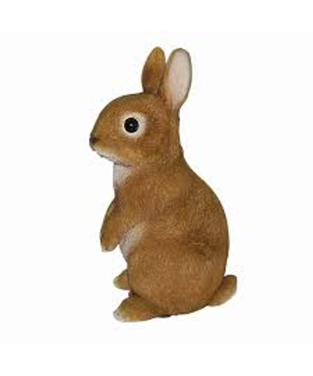 Vivid Arts Young Rabbit